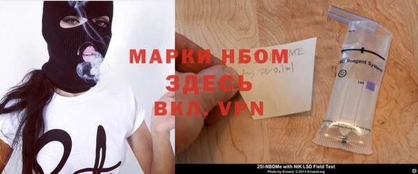 apvp Инсар