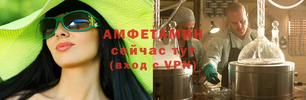 apvp Инсар