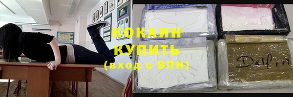 apvp Инсар