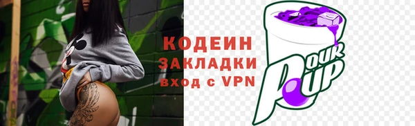 apvp Инсар