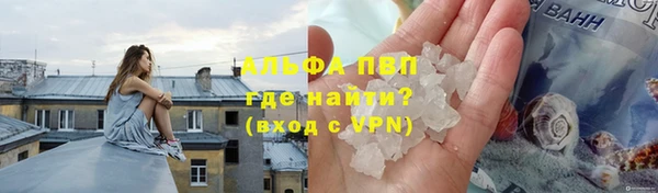 apvp Инсар
