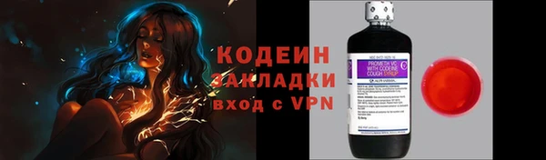 apvp Инсар