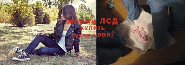 apvp Инсар