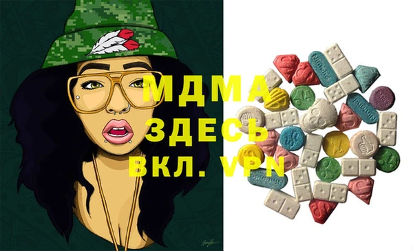 apvp Инсар