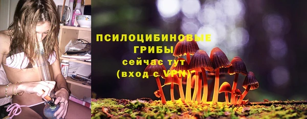 MESCALINE Иннополис