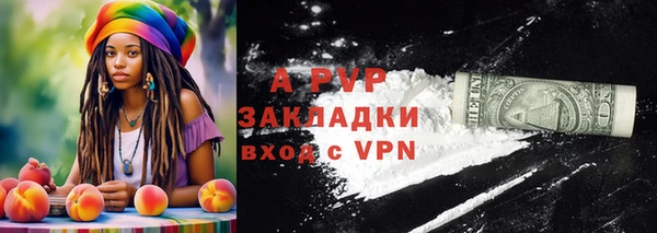 apvp Инсар