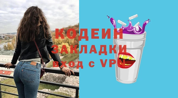 apvp Инсар
