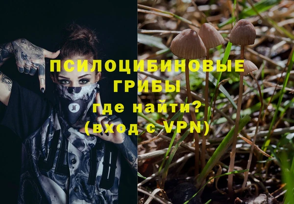 MESCALINE Иннополис