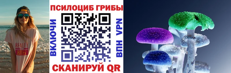Псилоцибиновые грибы Cubensis  Купить закладки  Арамиль 